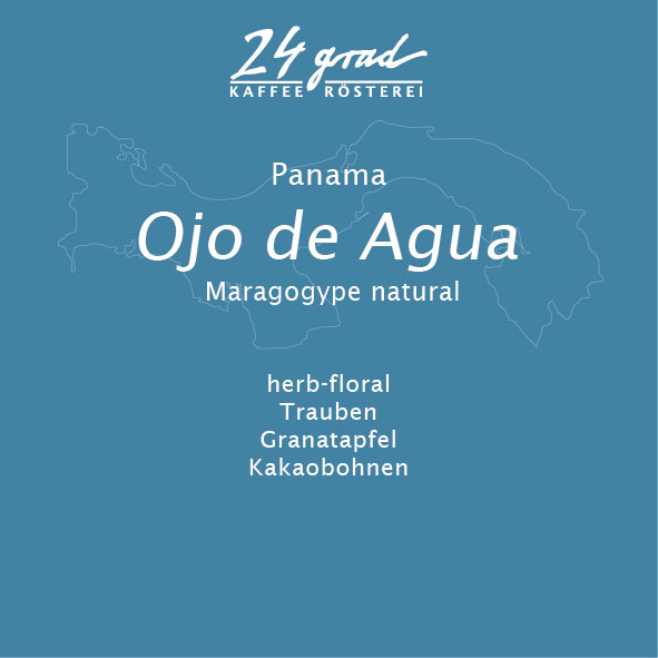 Panama Maragogype Natural